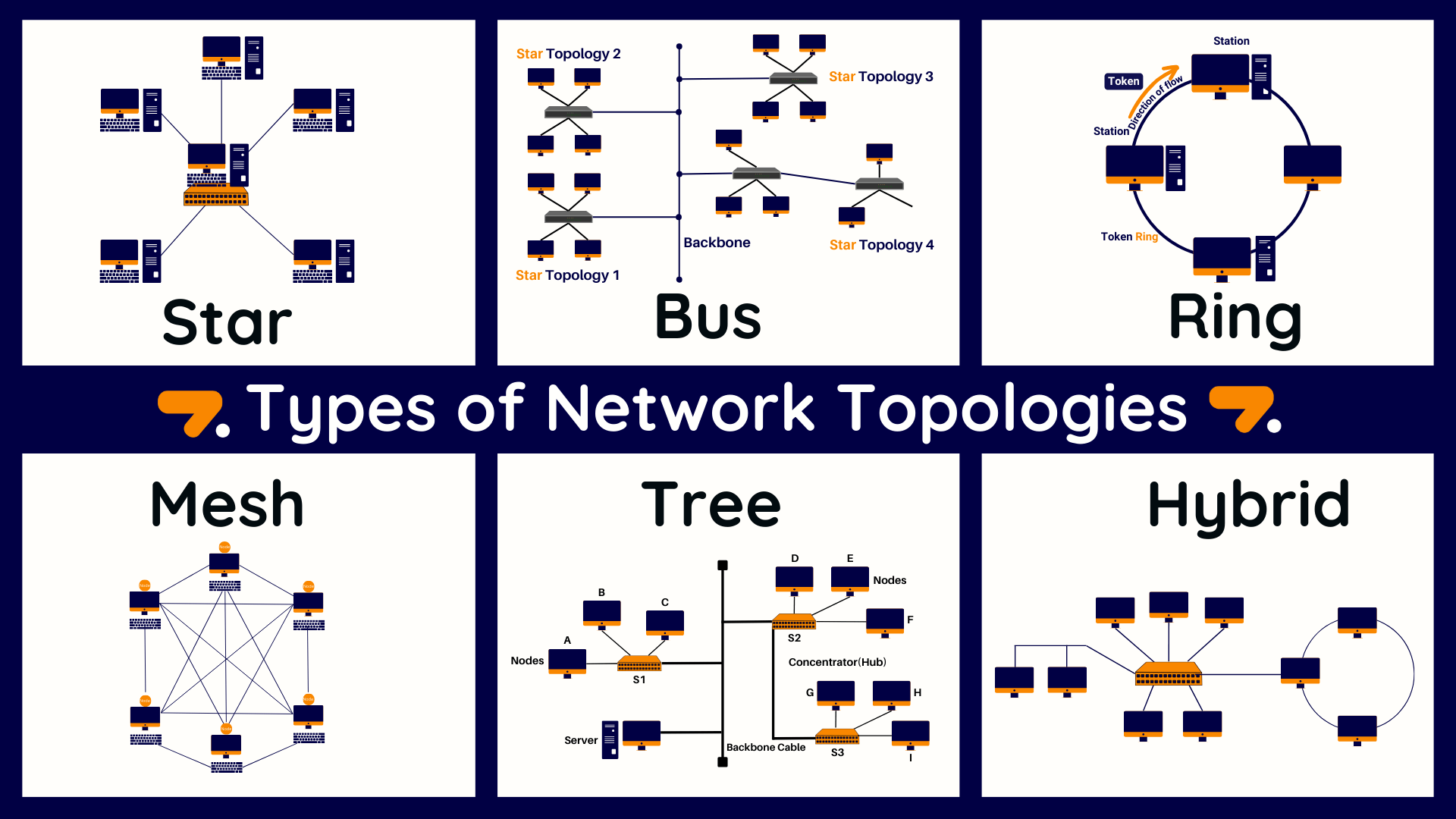 What is Network Topology and Its Types